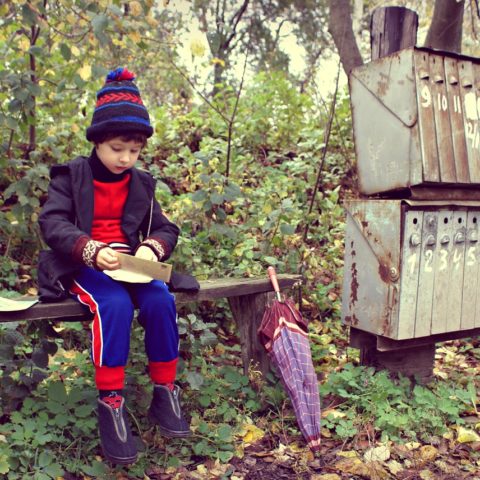 Bild von Виктория Бородинова auf Pixabay